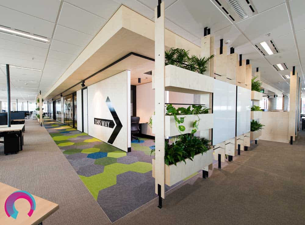 Office fitout showing natural plants as room dividers, bold geometric shaped carpet tiles. Integrating colour and interest into the workplace - commercial office photography Brisbane